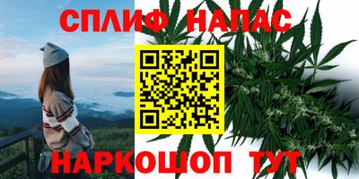 jwh Будённовск