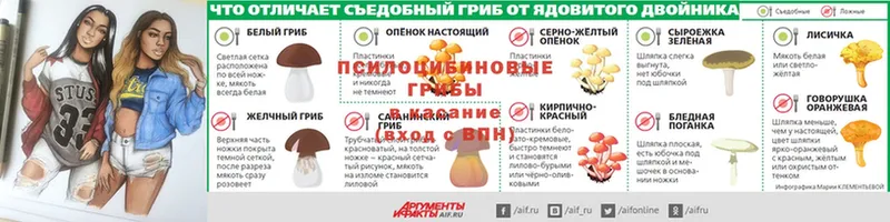 Галлюциногенные грибы мухоморы  это наркотические препараты  Ярцево 