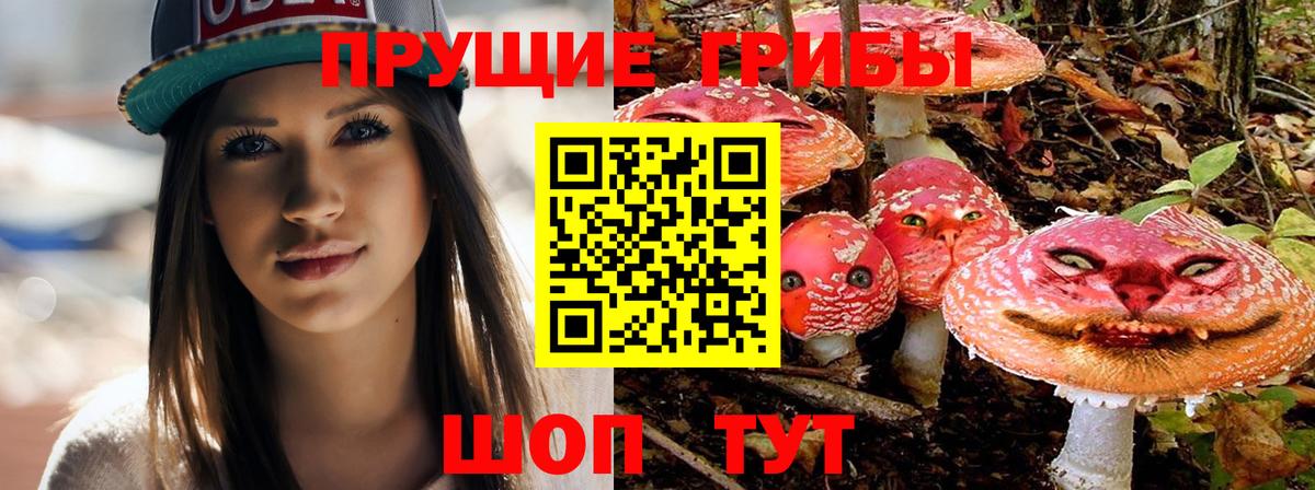 Псилоцибиновые грибы MAGIC MUSHROOMS  Псилоцибиновые грибы ЛСД  Ярцево  Вход с VPN 